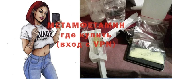 прущие грибы Верея