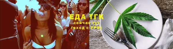 прущие грибы Верея
