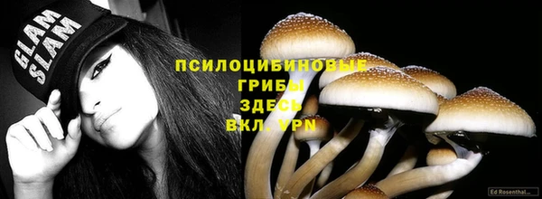крисы Верхний Тагил