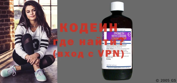 прущие грибы Верея
