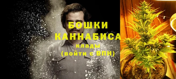 прущие грибы Верея