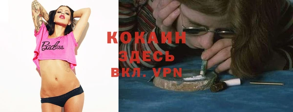 крисы Верхний Тагил