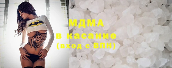 прущие грибы Верея