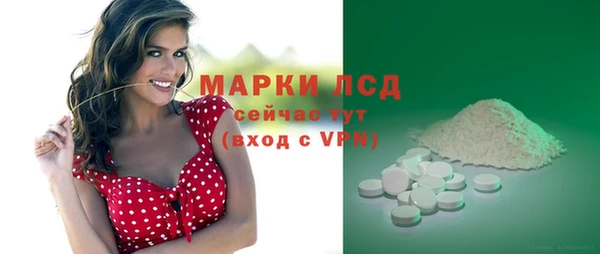прущие грибы Верея