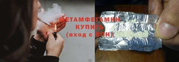 прущие грибы Верея