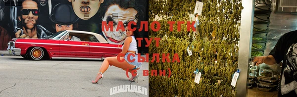 крисы Верхний Тагил