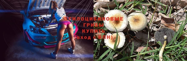 крисы Верхний Тагил