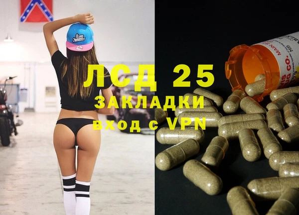крисы Верхний Тагил