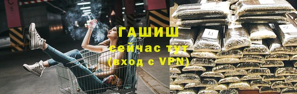 прущие грибы Верея