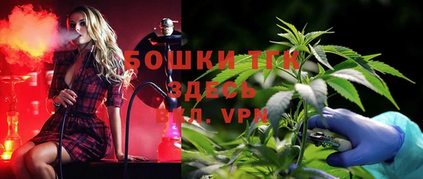 прущие грибы Верея