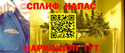 индика Вышний Волочёк