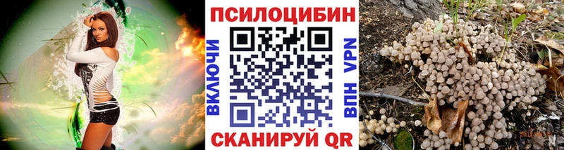 Галлюциногенные грибы Psilocybe Новомосковск
