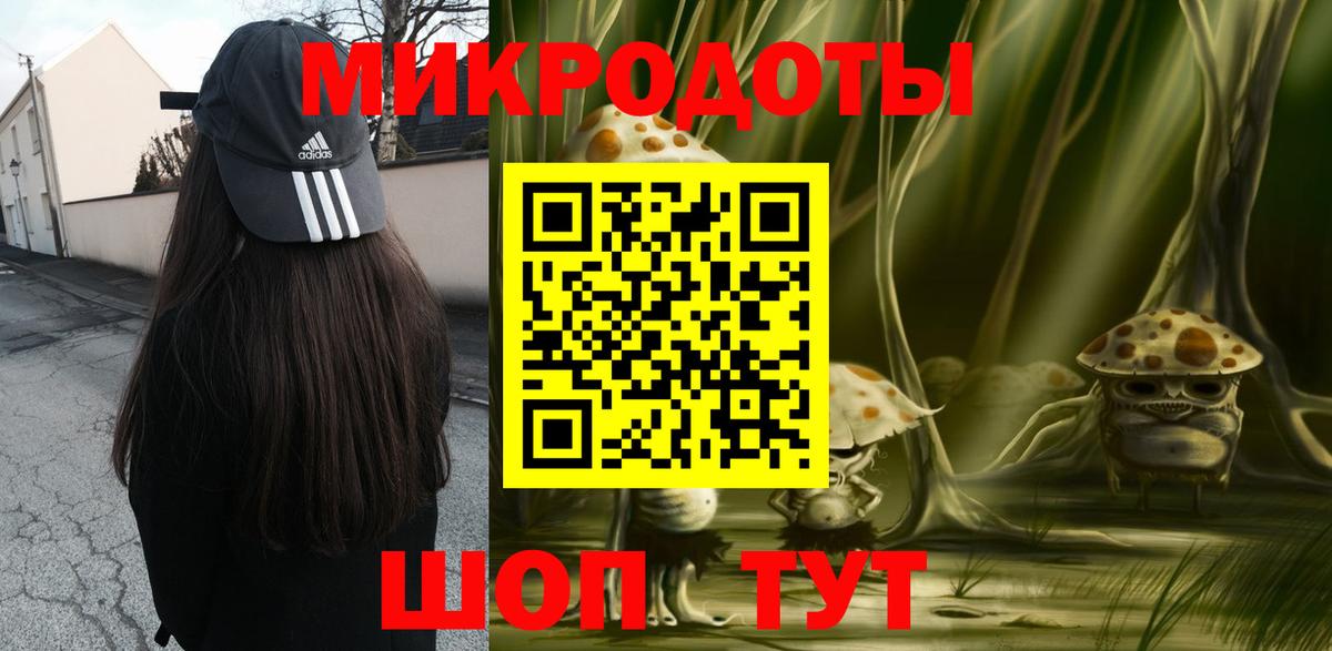 Псилоцибиновые грибы мицелий Новомосковск